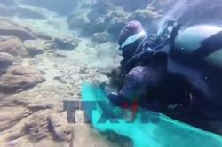Những 'công nhân' đặc biệt bền bỉ giữ màu xanh của biển