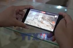 Bí ẩn ngôi mộ song táng 2.500 năm ở Lý Sơn