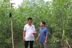 Gỡ vướng thủ tục đất đai, đồng bào Hre yên tâm sản xuất