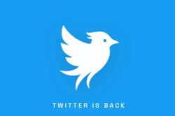 Twitter bất ngờ trở lại, nhưng không thuộc về Elon Musk