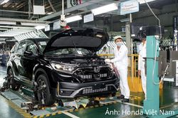 Thị trường ô tô tăng trưởng, xe nhập khẩu và xe điện tăng tốc