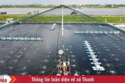 Đổi cách nuôi, đổi cuộc đời