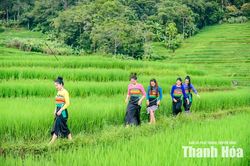 Bản Bút hút khách từ những giá trị văn hóa truyền thống