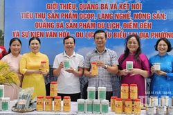Chính quyền xã tổ chức livestream tiêu thụ nông sản, quảng bá du lịch