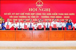 Kiểm to&aacute;n đồng h&agrave;nh c&ugrave;ng địa phương n&acirc;ng hiệu quả quản trị nguồn lực