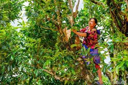 Để sản vật kể chuyện vùng đất