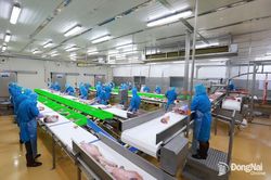 Ðưa nông sản Đồng Nai ra thế giới (Bài 2)