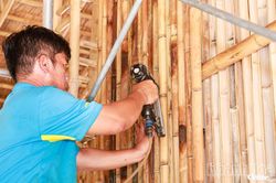 Đánh thức giá trị tre làng