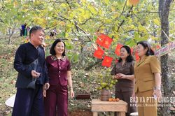 Rộn ràng lễ hội hồng Vành khuyên năm 2026