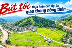 Bứt tốc thực hiện các dự án đường giao thông nông thôn
