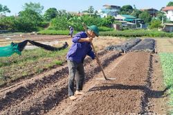 Chuẩn bị vật tư cho sản xuất vụ Đông