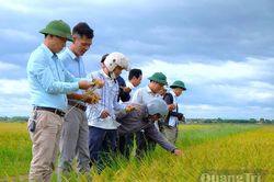 Kỳ vọng từ chính sách phát triển nông nghiệp