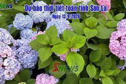 Dự báo thời tiết toàn tỉnh Sơn La ngày 13/9/2026