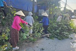 'Ngày thứ Bảy xanh' - Chung tay chào đón Festival Trà Quốc tế - Thái Nguyên