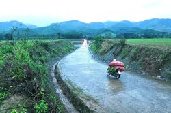 Huy động nhân lực, vật liệu tập trung thi công cầu vượt lũ 95 tỷ đồng ở Quảng Trị