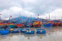 Nhiều giải pháp khắc phục 'thẻ vàng' IUU để tạo sinh kế cho ngư dân