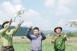 Ngăn chặn vấn nạn săn bắt chim di cư