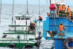 Tìm thấy 2 thi thể thuyền viên gặp nạn trên biển
