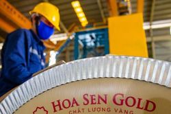 Tập đoàn Hoa Sen (HSG) nộp ngân sách 1.230 tỷ đồng, dồn lực mở rộng chuỗi bán lẻ vật liệu