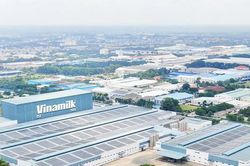 Hành trình nửa thế kỷ của Vinamilk: Từ ba nhà máy cũ đến hệ sinh thái dinh dưỡng xuất khẩu 65 quốc gia