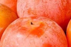 Loại quả xưa chín rụng đầy nay thành đặc sản nổi tiếng giá 85.000 đ/kg, trồng một lần thu hoạch nhiều năm, tốt cho sức khỏe