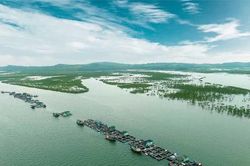 Quảng Ninh đề xuất mở rộng không gian nuôi biển lên gần 140.000 ha