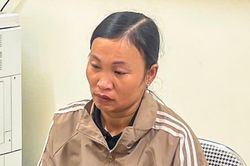 Lấy ảnh đồi cây của người khác, lừa 9 người mua gỗ đặt cọc 208 triệu đồng