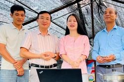 Ứng Hòa tổ chức phiên livestream giới thiệu sản phẩm nông nghiệp lần thứ 5