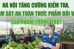Hà Nội tăng cường kiểm tra, giám sát an toàn thực phẩm đối với sản phẩm trồng trọt