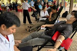 Hàng trăm sinh viên đi hiến máu tình nguyện dịp cuối tuần
