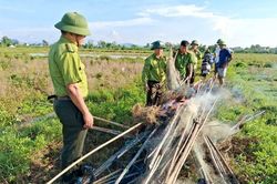 Gỡ 'thiên la địa võng', ngăn chặn nạn săn bắt chim trời