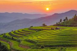 Vẻ đẹp ruộng bậc thang Pu Nhi, Điện Biên