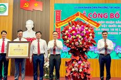 Ninh Bình đón nhận Bằng công nhận Bảo vật quốc gia đối với Bộ tranh khắc ma nhai 18 vị La Hán