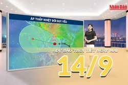 [Video] Dự báo thời tiết đêm nay và ngày mai 14/9/2026: Áp thấp nhiệt đới suy yếu, Trung Bộ tiếp tục mưa lớn