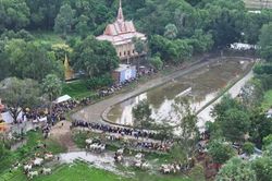 An Giang: Hào hứng Hội đua bò truyền thống Chùa Rô