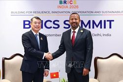 Thủ tướng Lê Minh Hưng gặp Thủ tướng Ethiopia Abiy Ahmed Ali
