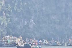 Hơn 53.000 phương tiện được cảnh báo, chủ động tránh áp thấp nhiệt đới