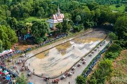 Hội đua bò Chùa Rô: 32 đôi bò tranh tài, giải thưởng lớn mang tính kỷ lục