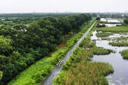 [VIDEO] Hé lộ cung đường chạy Giải Cà Mau Marathon 2026 - Cúp PETROVIETNAM