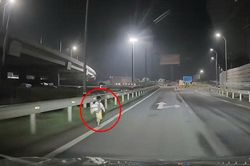 Bé trai đi lạc ở đường dẫn cao tốc lúc nửa đêm, tài xế dừng xe làm điều ấm lòng