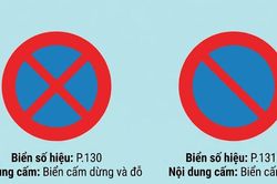 Biển cấm dừng và cấm dừng đỗ khác nhau nhưng tài xế vẫn dễ mất tiền vì nhầm biển