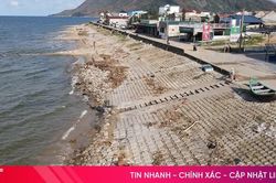 Chủ động bảo vệ các tuyến đê trọng yếu trước sóng to, gió lớn, nước biển dâng