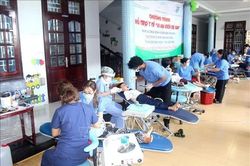 Lâm Đồng: 750 trẻ em được khám, chữa bệnh răng miệng miễn phí