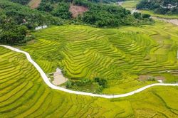 Những người tiên phong tạo sinh kế từ du lịch cộng đồng ở vùng cao Thanh Hóa