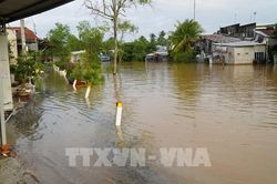 Triều cường kết hợp lũ gây ngập nhiều nơi tại Đồng Tháp