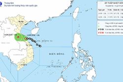Áp thấp nhiệt đới gây gió mạnh, những địa phương nào hứng mưa lớn dồn dập?