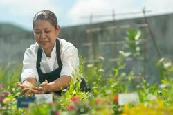 Farm-to-table: Con đường đưa nông sản địa phương thành lợi thế cạnh tranh