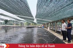 Để con tôm trở thành sinh kế bền vững