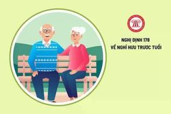 Trường hợp nghỉ hưu trước tuổi nào phải quay lại làm việc?