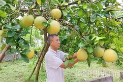 Nông dân Chí Đám thi đua sản xuất, kinh doanh giỏi